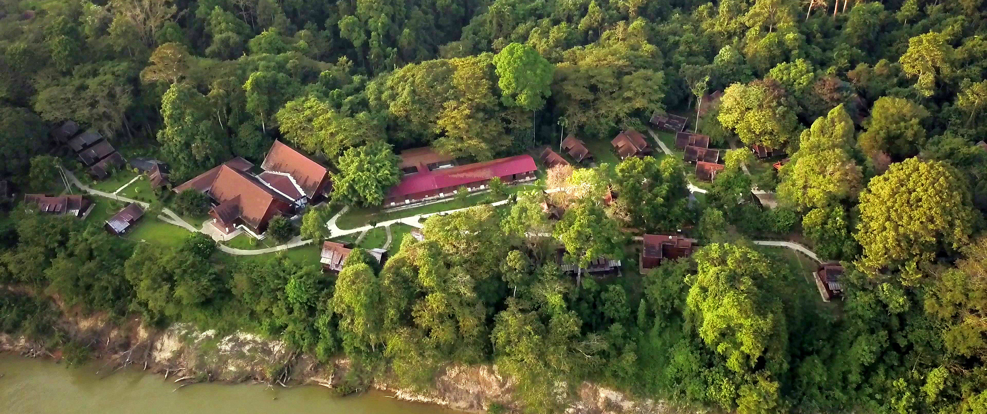 Eine Der ältesten Dschungel Der Welt - Taman Negara - Asien-Reise Blog